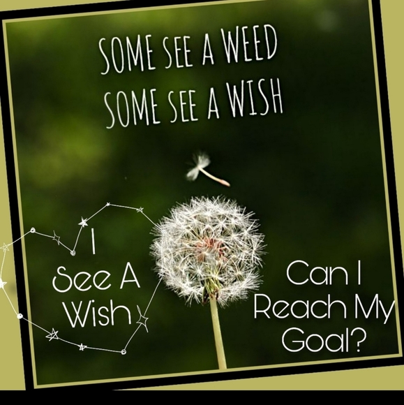 THANK YOU AGAIN FOR HELPING ME REACH MY GOAL ♡ - Picture 7 of 12